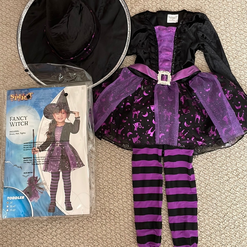 Spirit Halloween fancy witch girl dress 2T